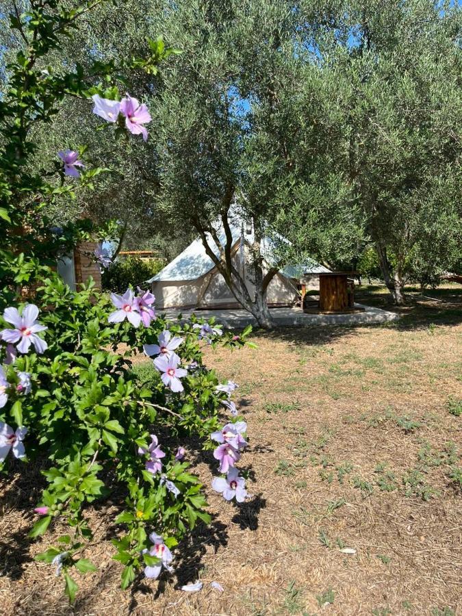 מלון Eco Glamping With Pool Between Nafplio And ארגוס מראה חיצוני תמונה