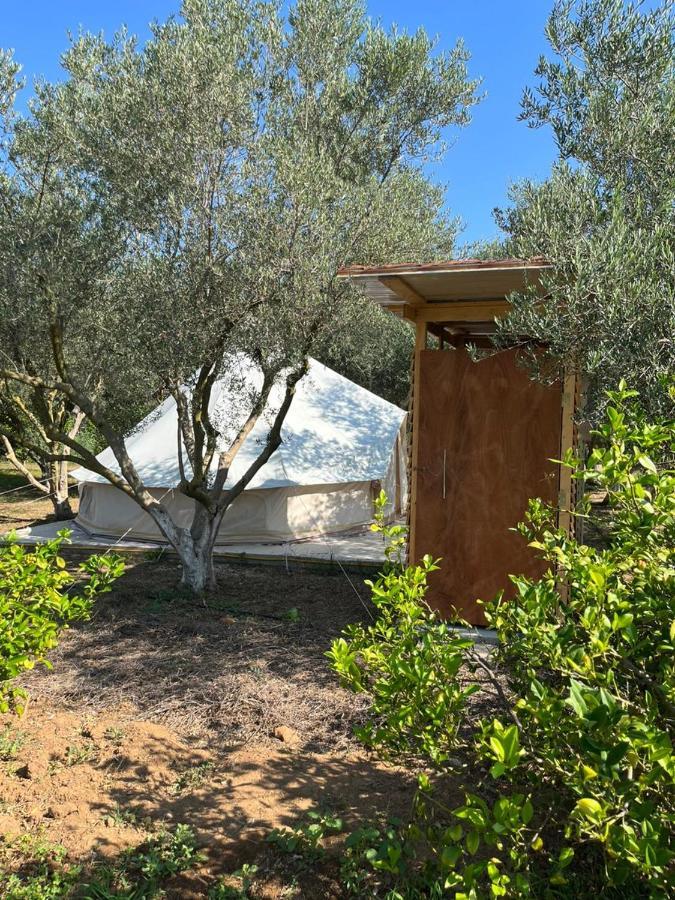 מלון Eco Glamping With Pool Between Nafplio And ארגוס מראה חיצוני תמונה