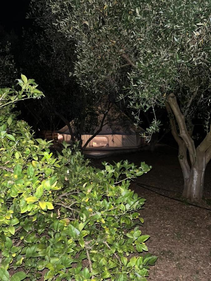 Eco Glamping With Pool Between Nafplio And ארגוס מראה חיצוני תמונה