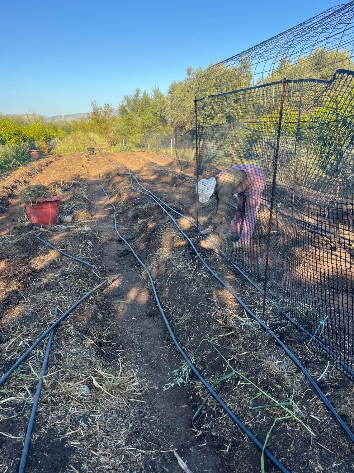 Eco Glamping With Pool Between Nafplio And ארגוס מראה חיצוני תמונה