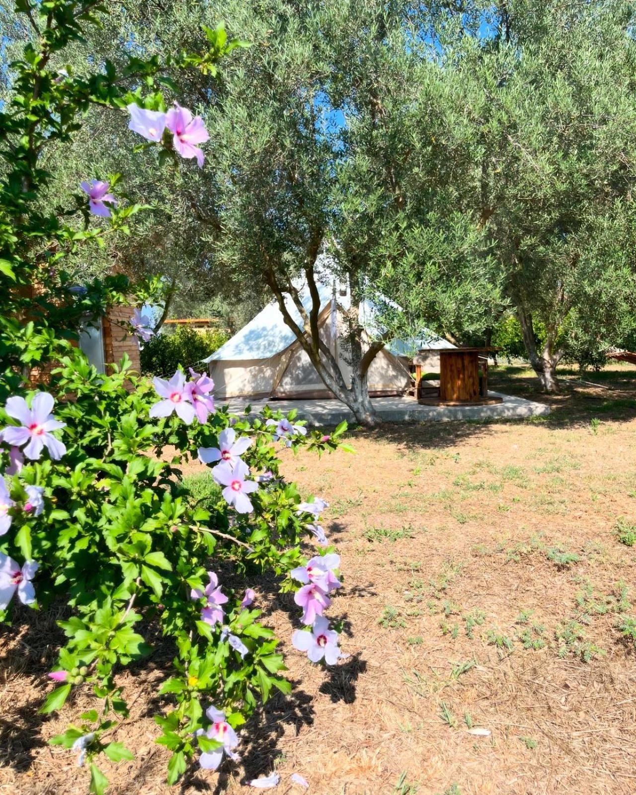 Eco Glamping With Pool Between Nafplio And ארגוס מראה חיצוני תמונה