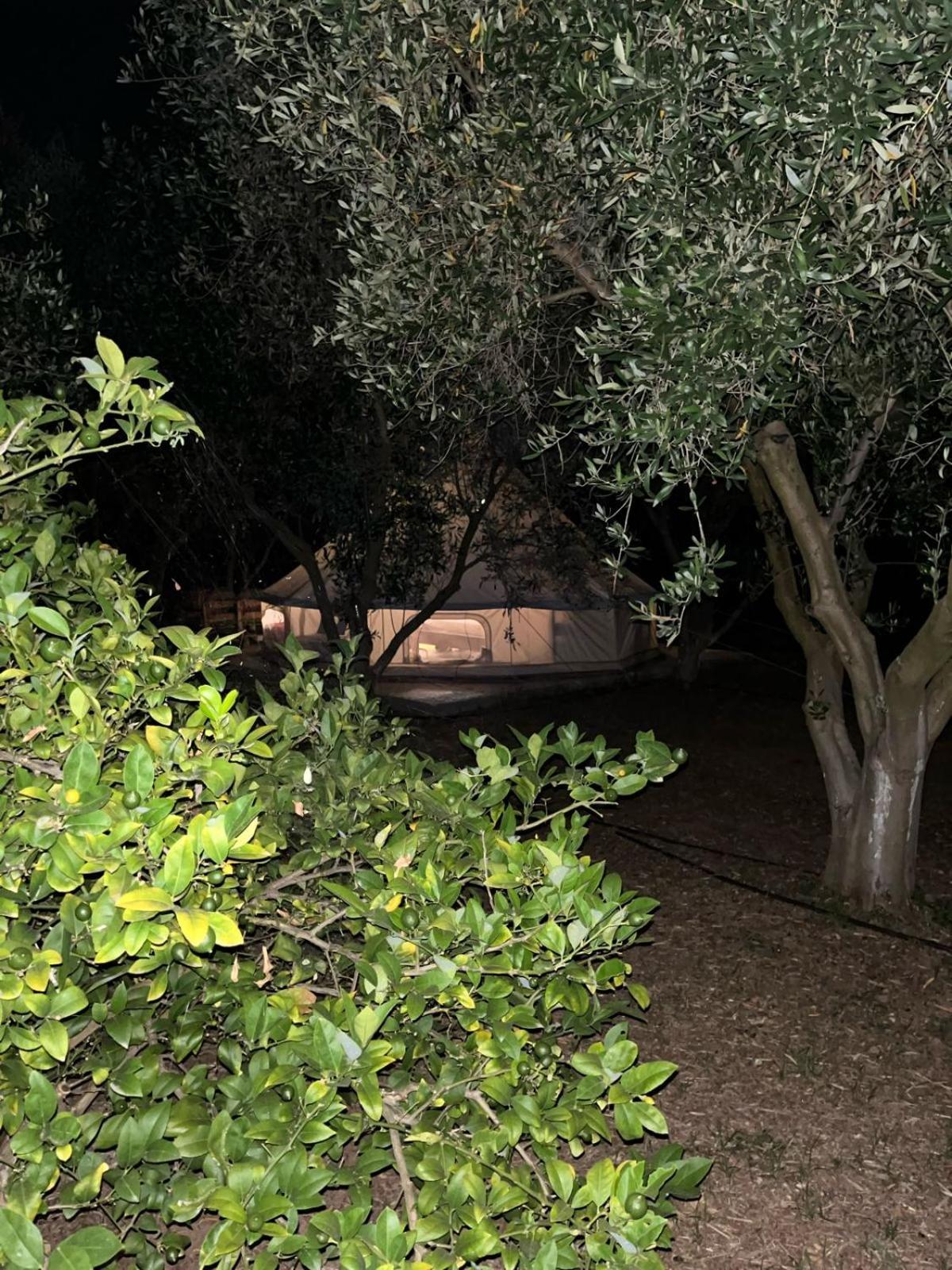 Eco Glamping With Pool Between Nafplio And ארגוס מראה חיצוני תמונה